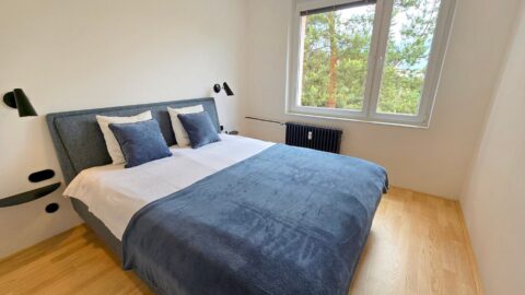Prodej byty 2+1, 51 m² - Brno - Lesná #476