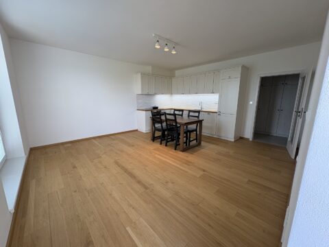 Prodej bytu 2+kk 56 m² s dvěmi parkovacími stáními, Jedovnice #424