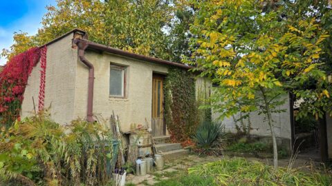 Prodej venkovského rodinného domu s prostornou zahradou #590