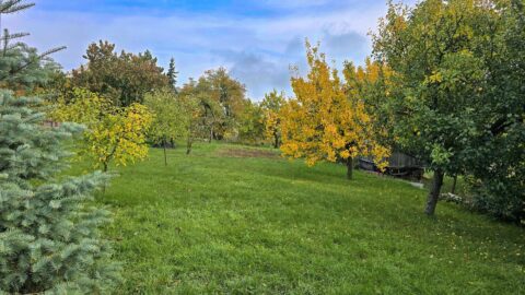 Prodej venkovského rodinného domu s prostornou zahradou #588