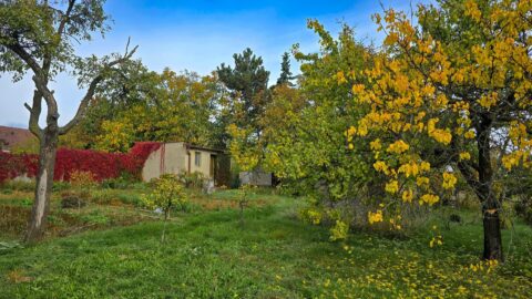 Prodej venkovského rodinného domu s prostornou zahradou #589