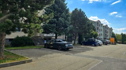 Prodej cihlového prostorného bytu 3+1 80 m², Lipůvka #551