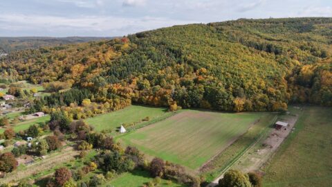 Prodej stavebního pozemku 6 434 m², Tetčice #702