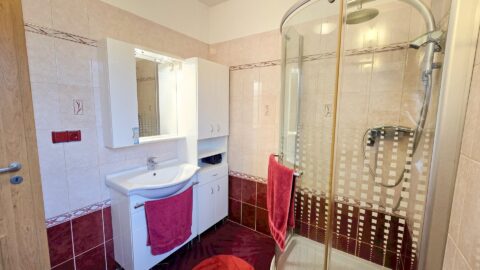 Prodej rodinného domu 243 m², Brno - Brněnské Ivanovice #682