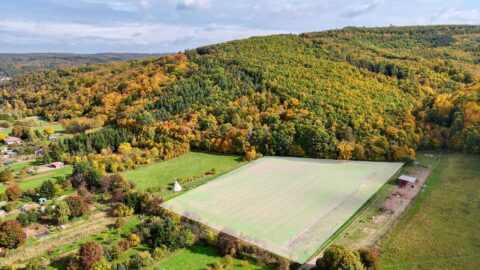 Prodej stavebního pozemku 6 434 m², Tetčice #701
