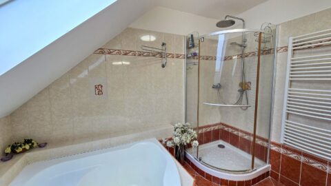 Prodej rodinného domu 243 m², Brno - Brněnské Ivanovice #670