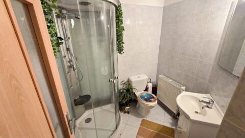 Prodej rodinného domu 243 m², Brno - Brněnské Ivanovice #675