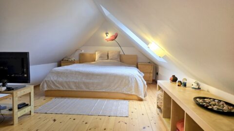 Prodej rodinného domu 243 m², Brno - Brněnské Ivanovice #660