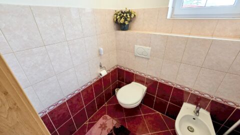 Prodej rodinného domu 243 m², Brno - Brněnské Ivanovice #683