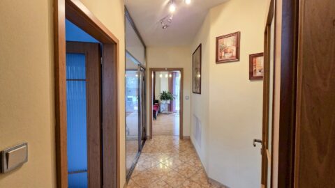 Prodej rodinného domu 243 m², Brno - Brněnské Ivanovice #677