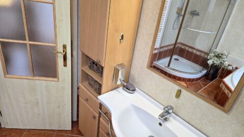 Prodej rodinného domu 243 m², Brno - Brněnské Ivanovice #671